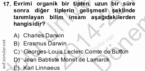 Soru 17