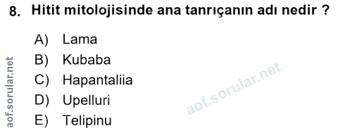 Soru 8