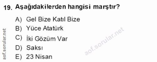 Soru 19