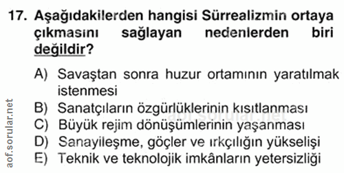 Soru 17