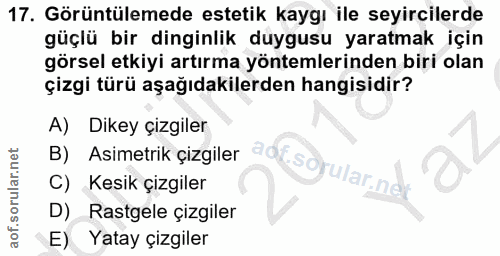 Soru 17