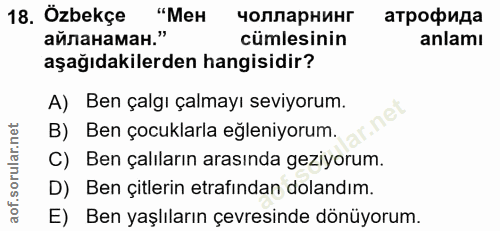Soru 18