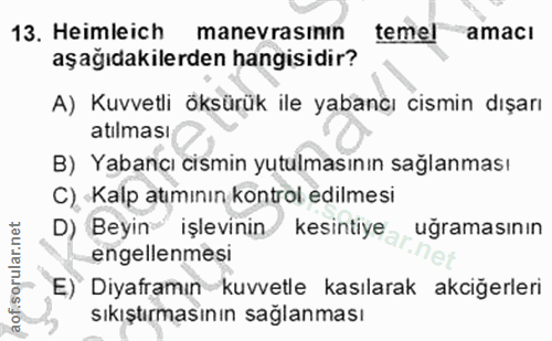 Soru 13