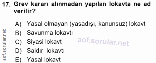 Soru 17