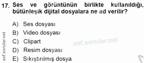 Soru 17