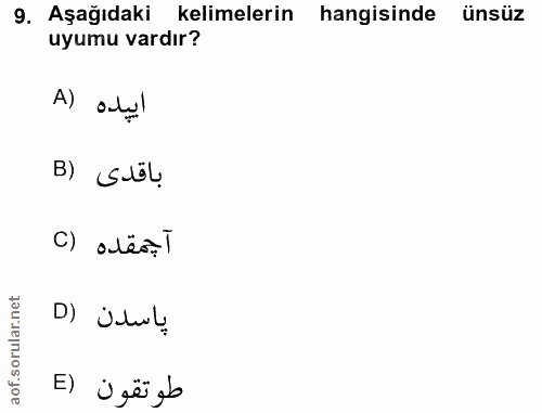 Soru 9