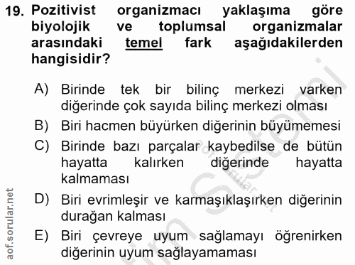 Soru 19