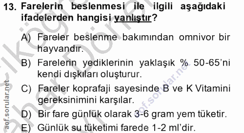 Soru 13