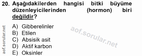 Soru 20