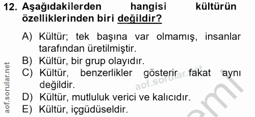 Soru 12