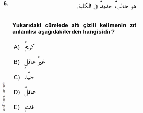 Soru 6