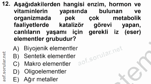Soru 12