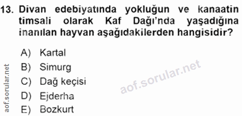 Soru 13