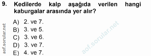 Soru 9