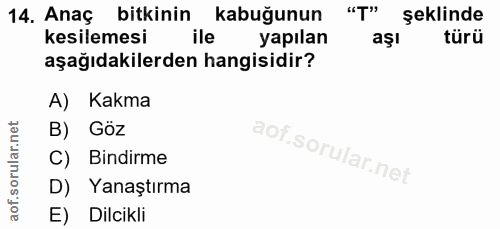 Soru 14