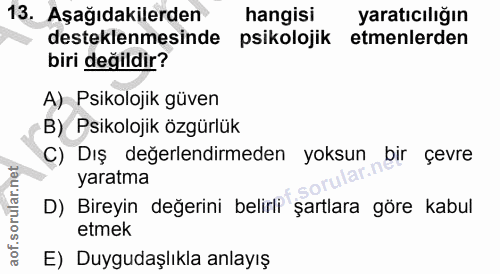 Soru 13