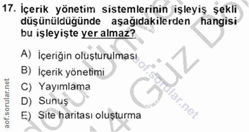 Soru 17