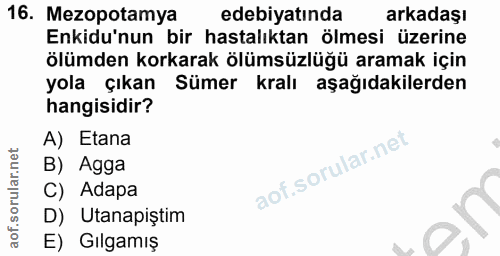 Soru 16
