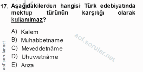 Soru 17