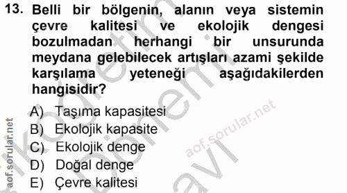 Soru 13