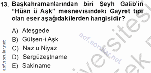 Soru 13
