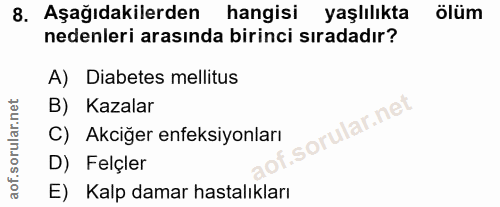 Soru 8