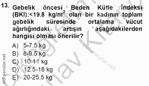 Soru 13