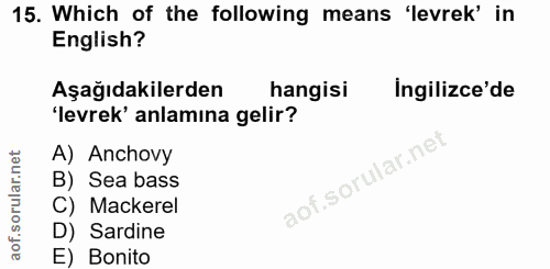 Soru 15