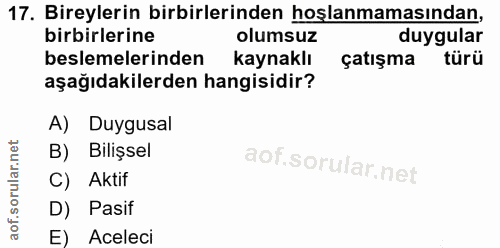 Soru 17