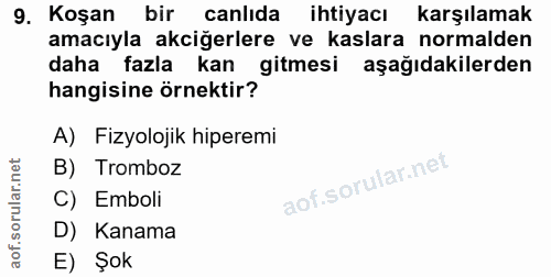 Soru 9