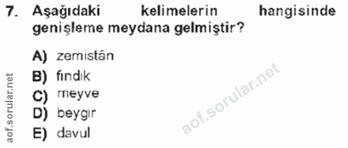 Soru 7