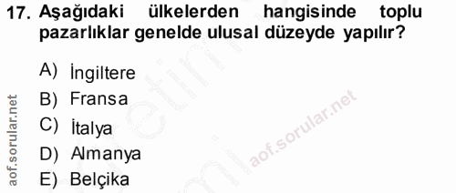 Soru 17