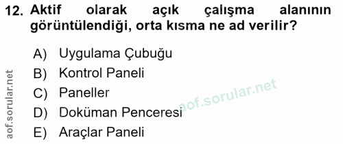 Soru 12