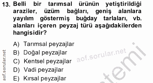Soru 13