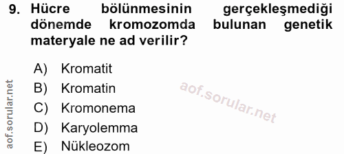 Soru 9