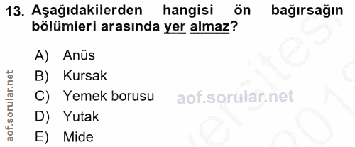 Soru 13