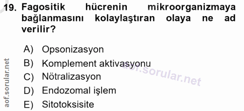 Soru 19