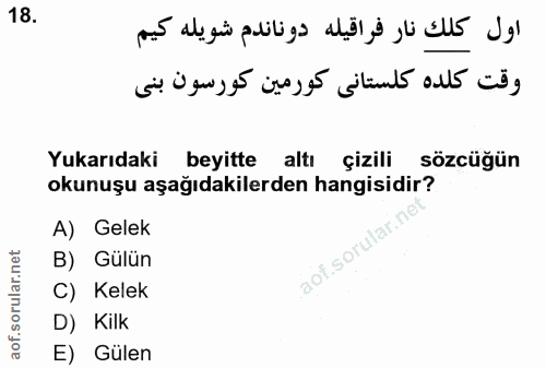 Soru 18
