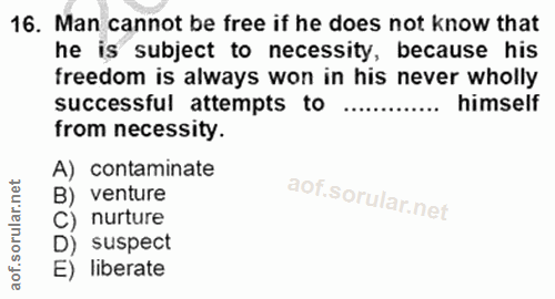 Soru 16