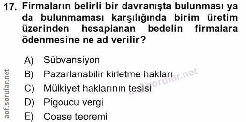 Soru 17