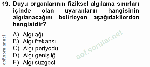 Soru 19