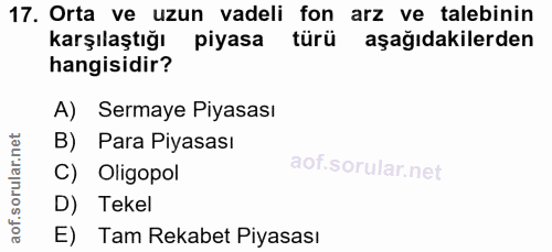 Soru 17
