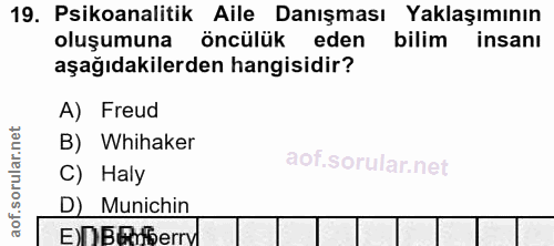 Soru 19