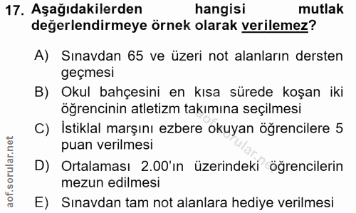 Soru 17