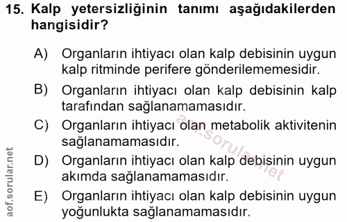 Soru 15