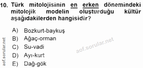 Soru 10