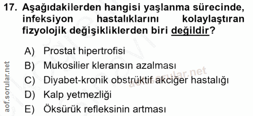 Soru 17