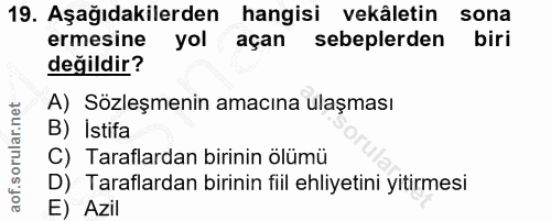 Soru 19