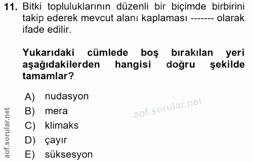 Soru 11