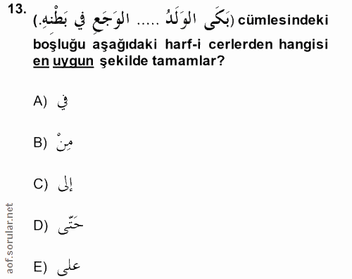 Soru 13